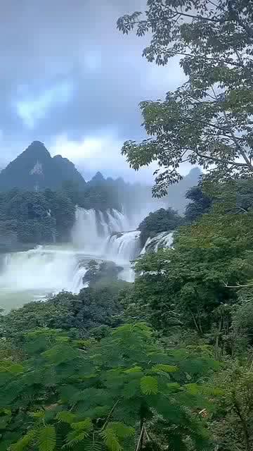 冲浪骑士