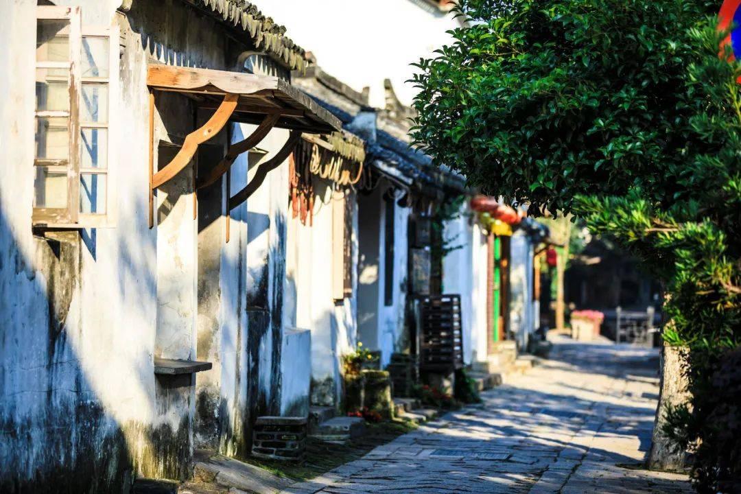 危险森林大逃脱